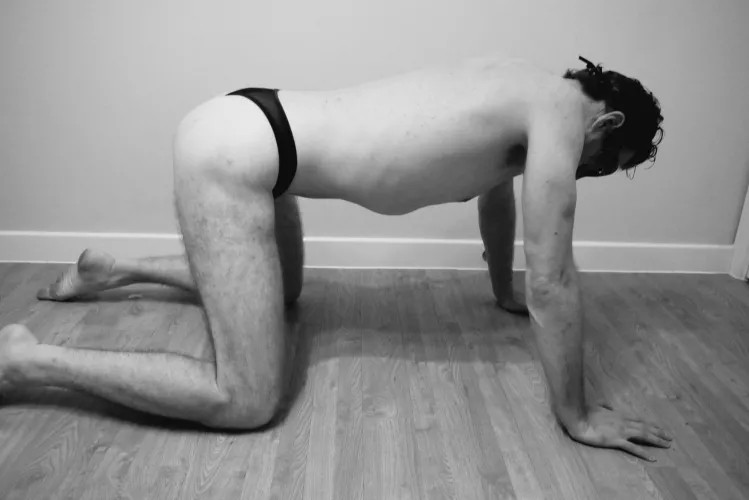 On all fours... by maxparks6911