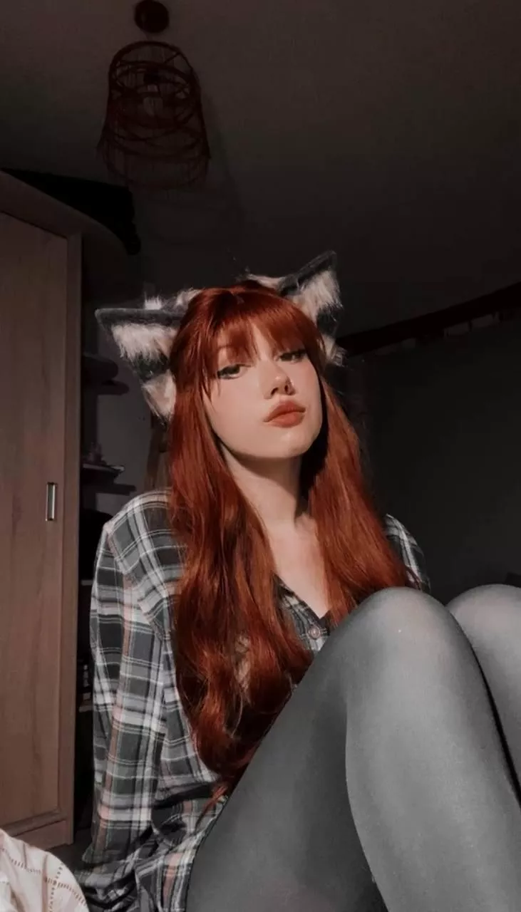 Pet me 🦊🐾 posted by Luna_foxie