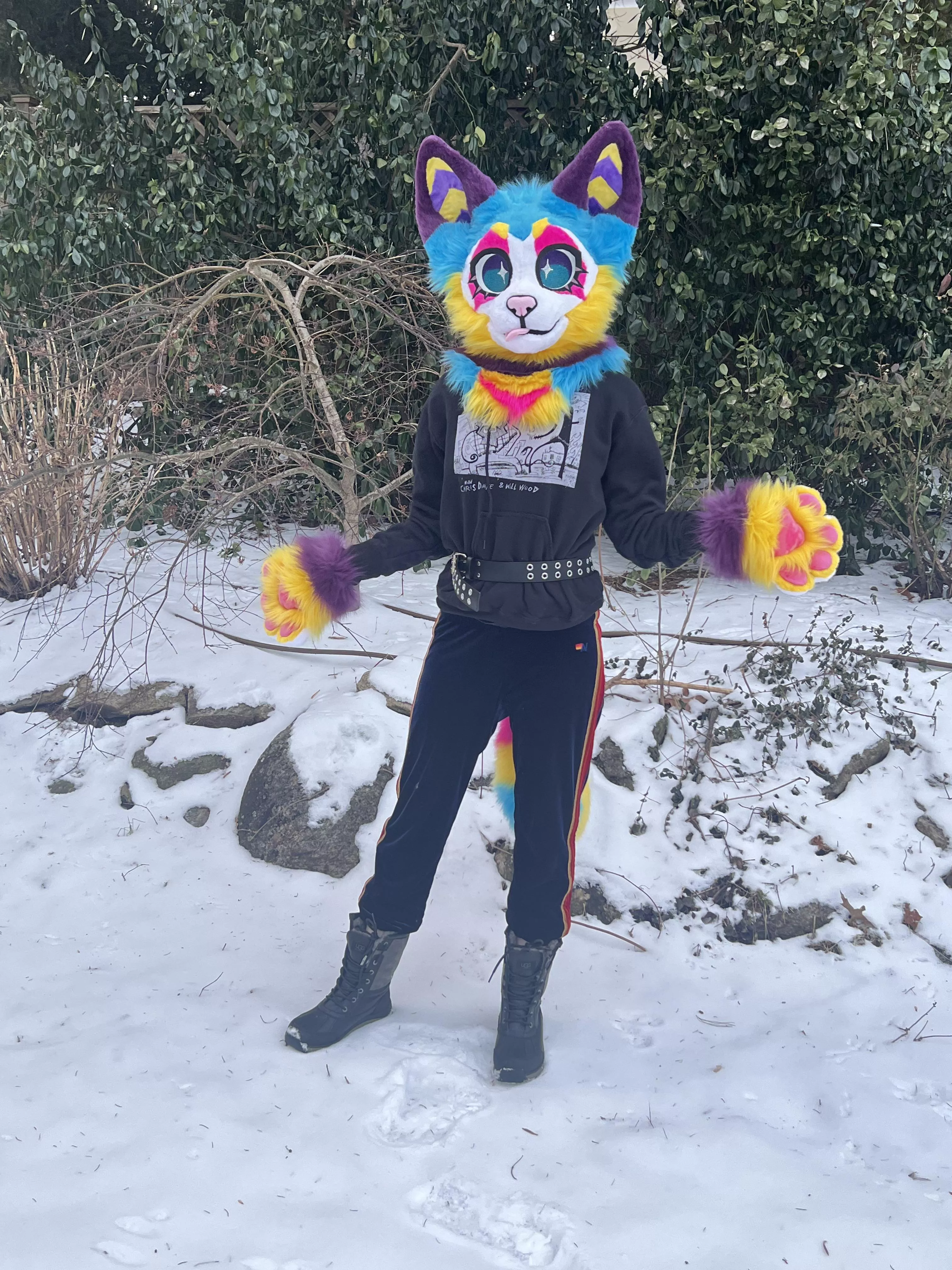 snow day! posted by zerpq