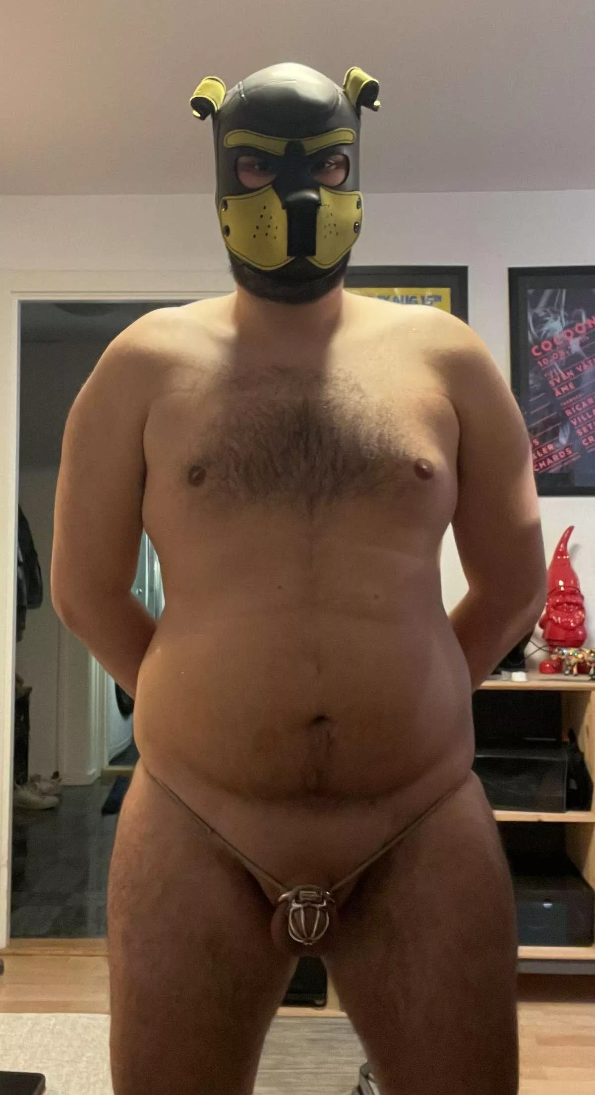 So happy to have finally found an owner that keeps me locked in place 🥰 posted by SubChub97