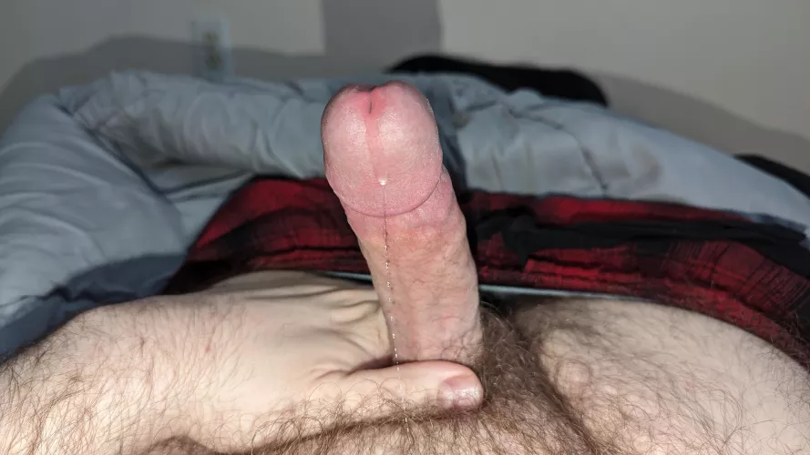 Started my Sunday edging. by whoits1154