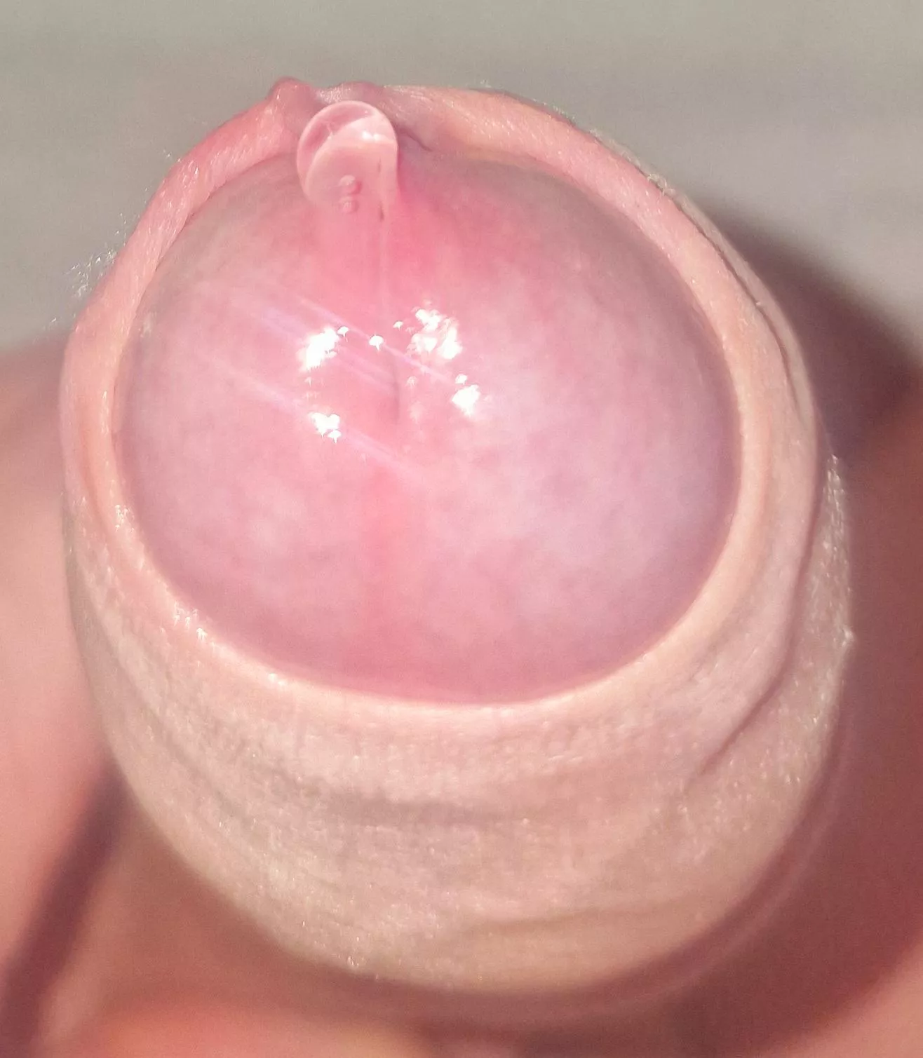 Sunday morning nectar of life posted by OutlandishnessFar695