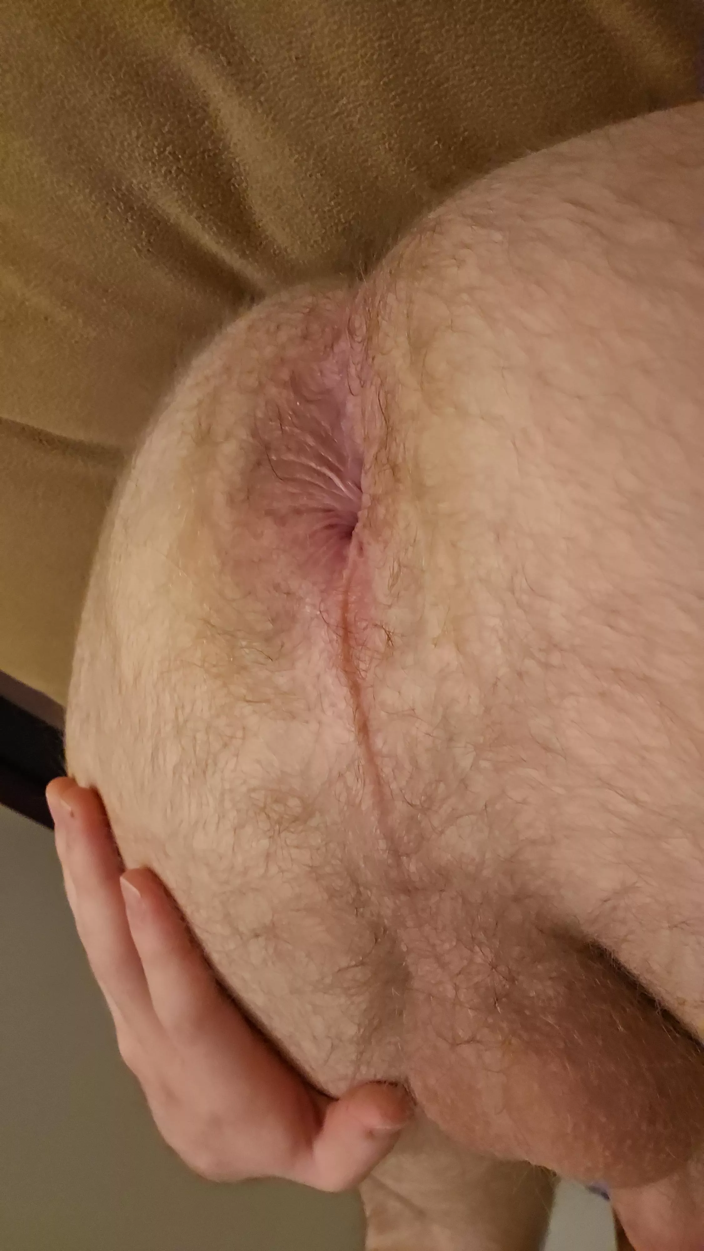 This top has a great hole. [31] posted by realRexSteele