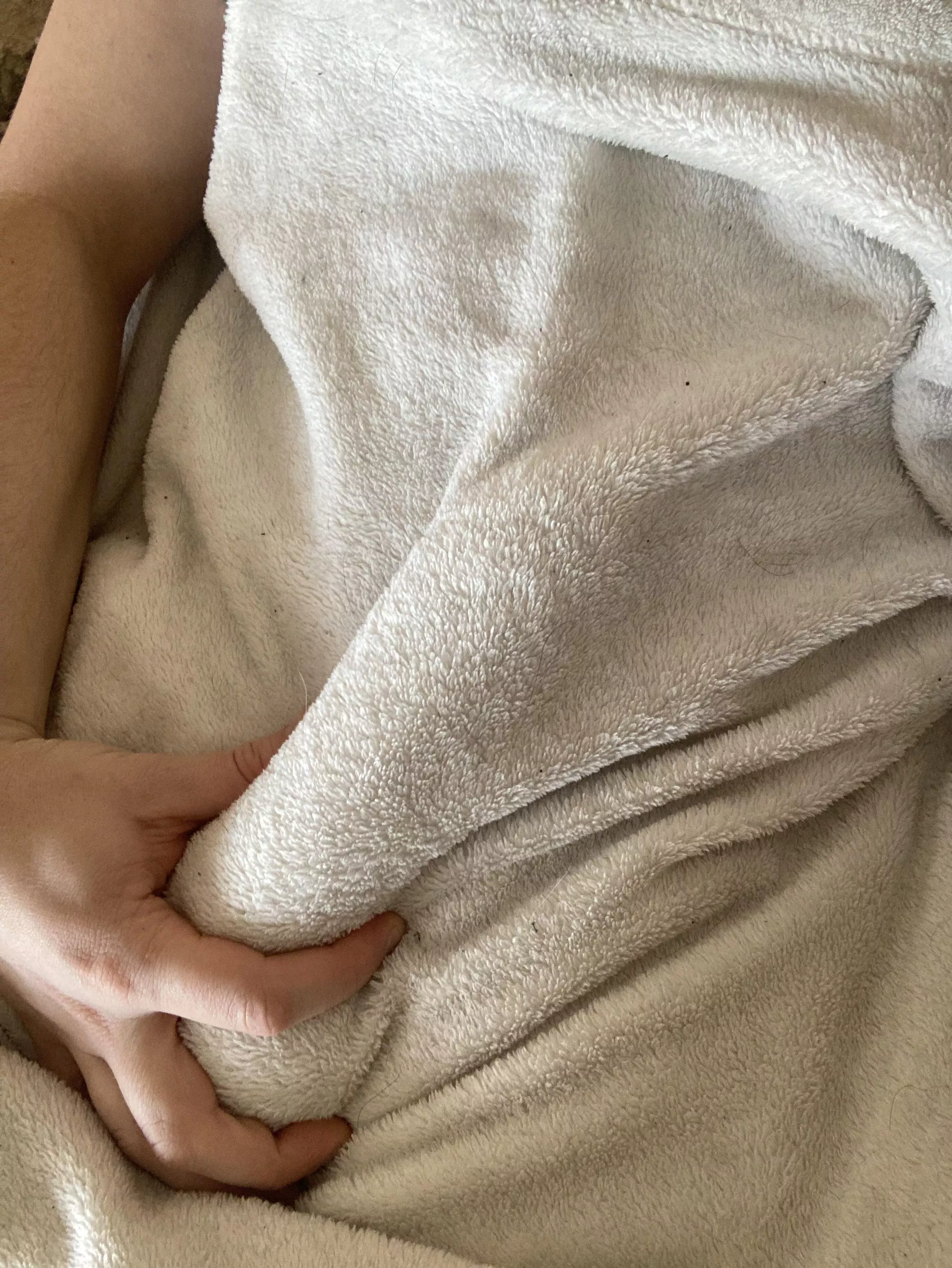 Wanna join me under this blanket? posted by silverswagsurfer