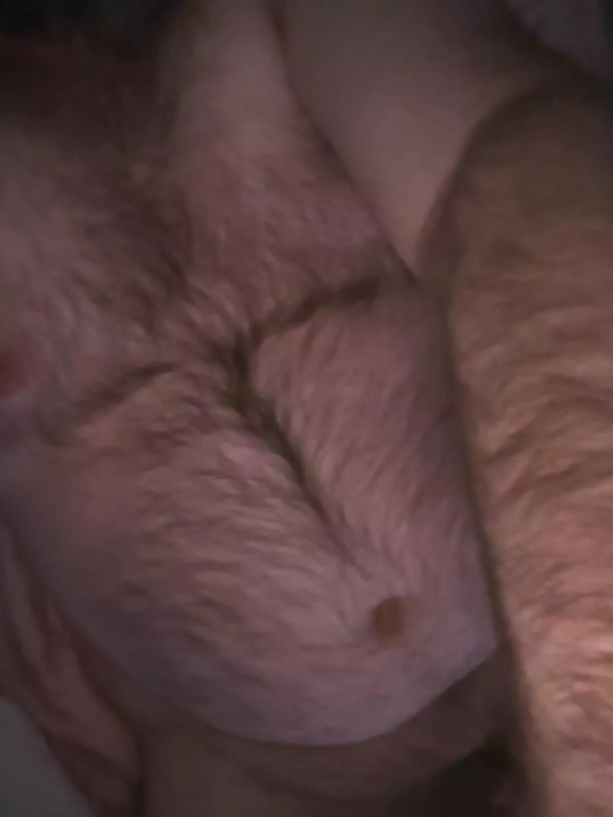 What are you up to? posted by DadbodBaldBeard