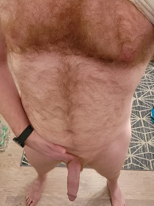 Any fans of gingers by TheJewishViking1064