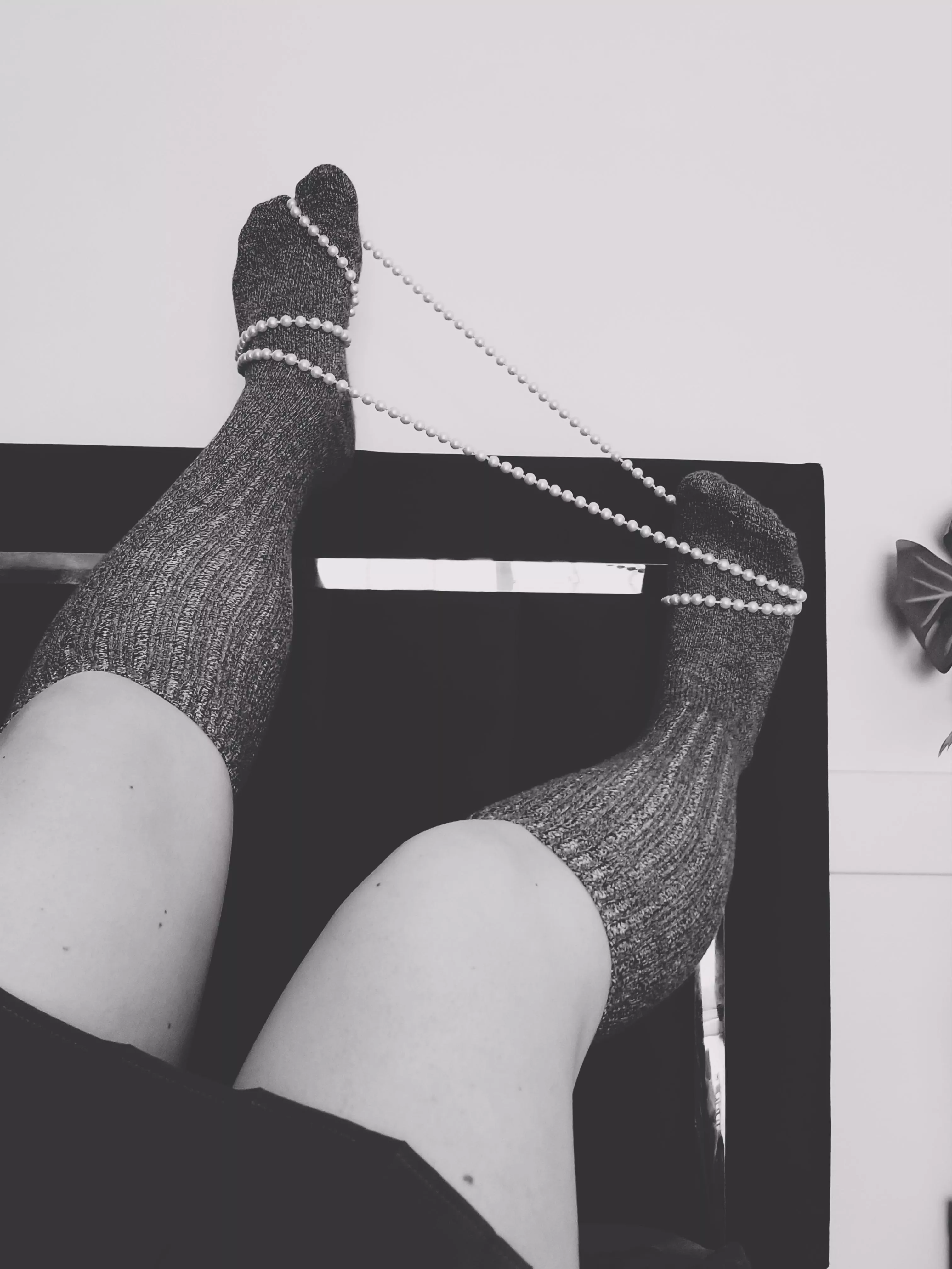 Are you dying to see these delicate tosies? posted by No-Seaweed-7909