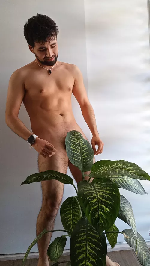 Big leaf by Affectionate-Ad494