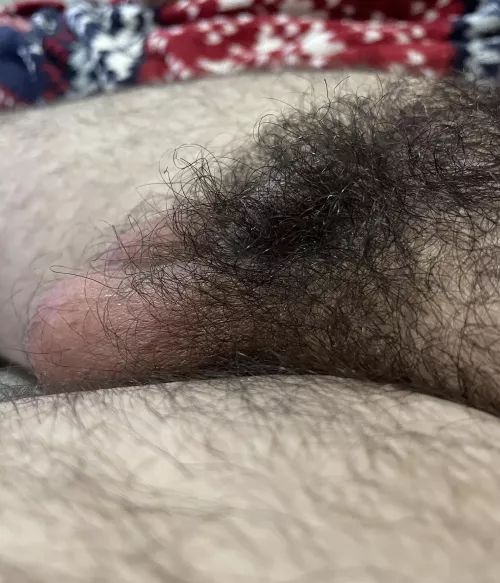 bushy boy 🌳 by jccubb