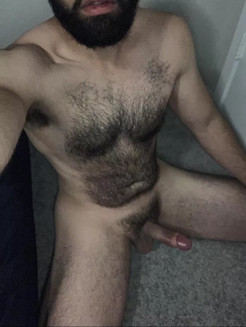 Can you help me cum? posted by sweaterdave
