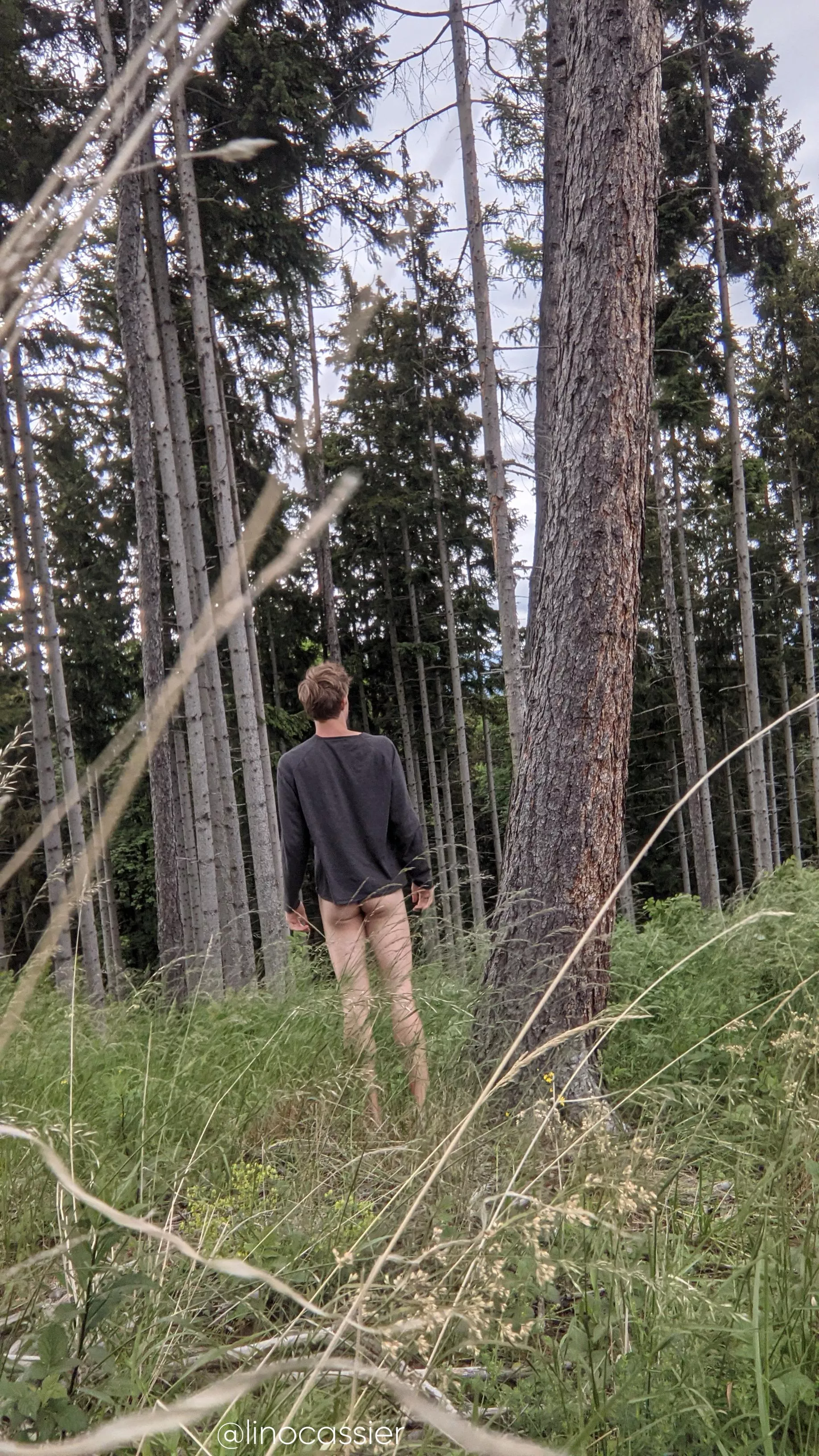 Do you have some wood for me? posted by Linocassier