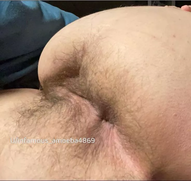 Do you think you would still lick my [h]airy tight ass? 🥰 or NO WAY!!!😫 posted by Infamous_Amoeba4869