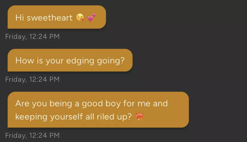 Fae's Making Sure I Stay on Task by Wacko_Warner