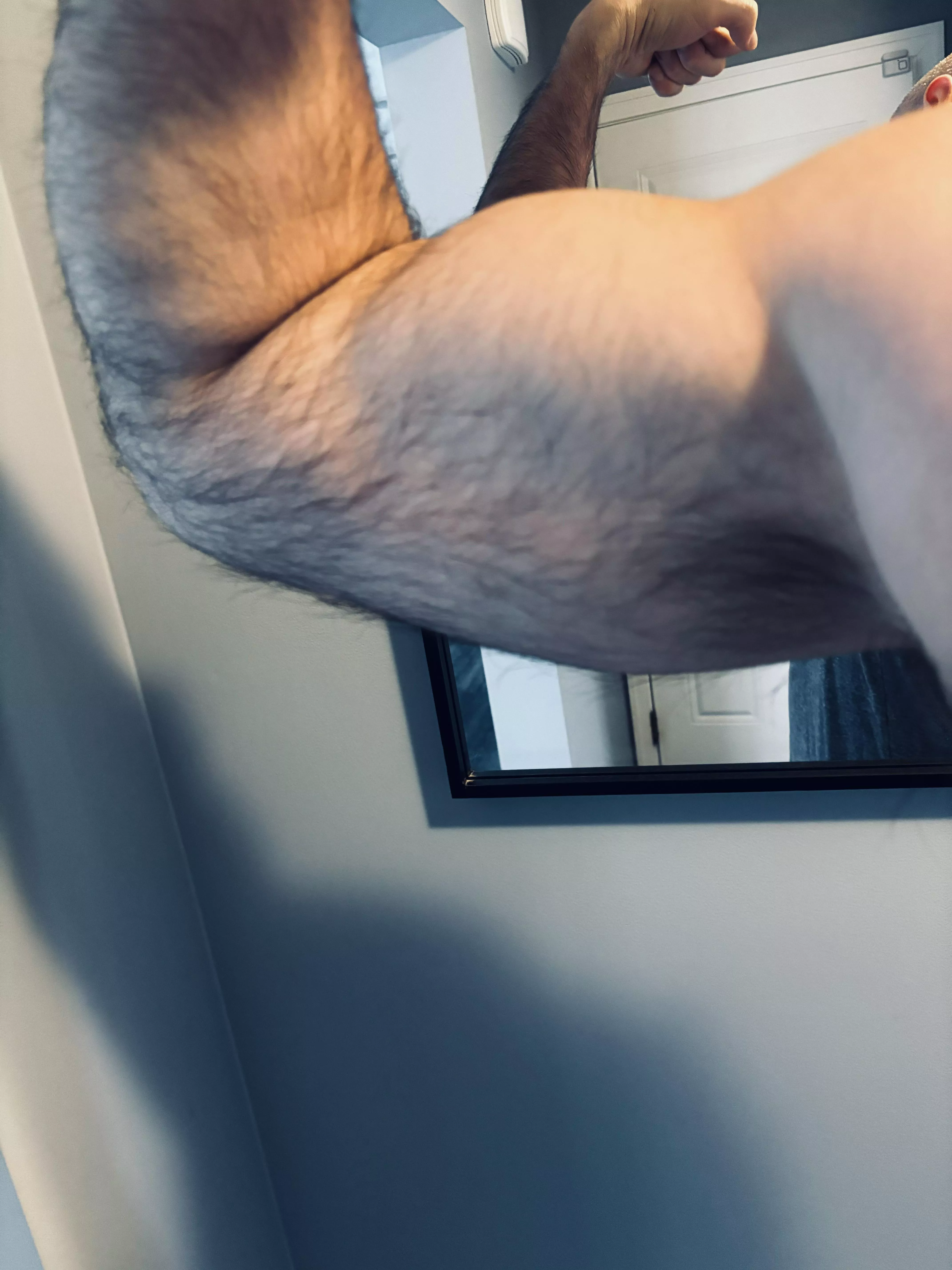 Hairy bicep and pit posted by BeardedBaldJay
