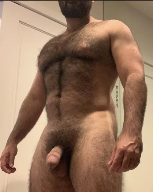 HAIRY & HORNY by -BIG-HAIRY-DADDY