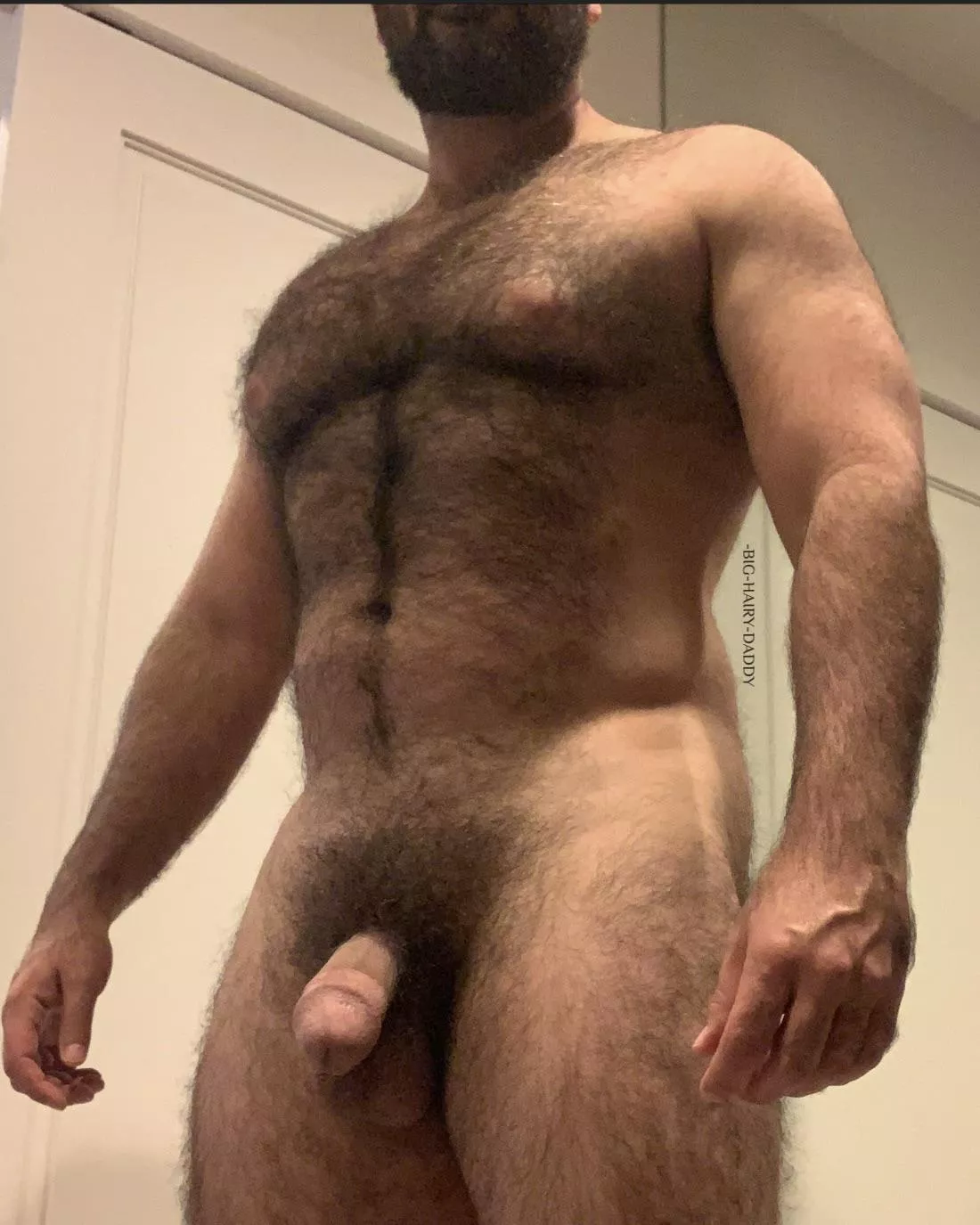 HAIRY & HORNY posted by -BIG-HAIRY-DADDY