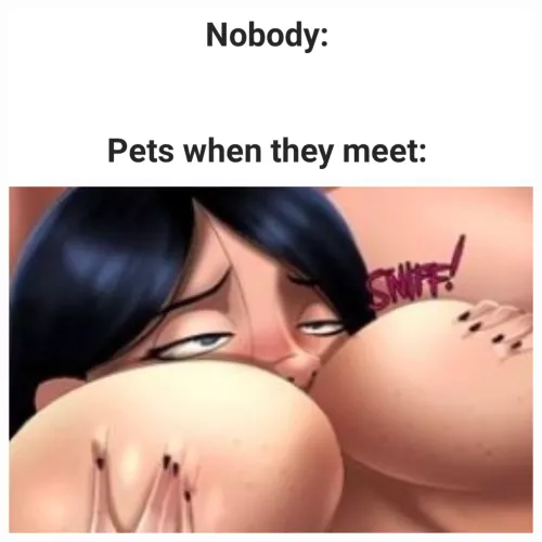 Hello there! by JRTheRaven0111