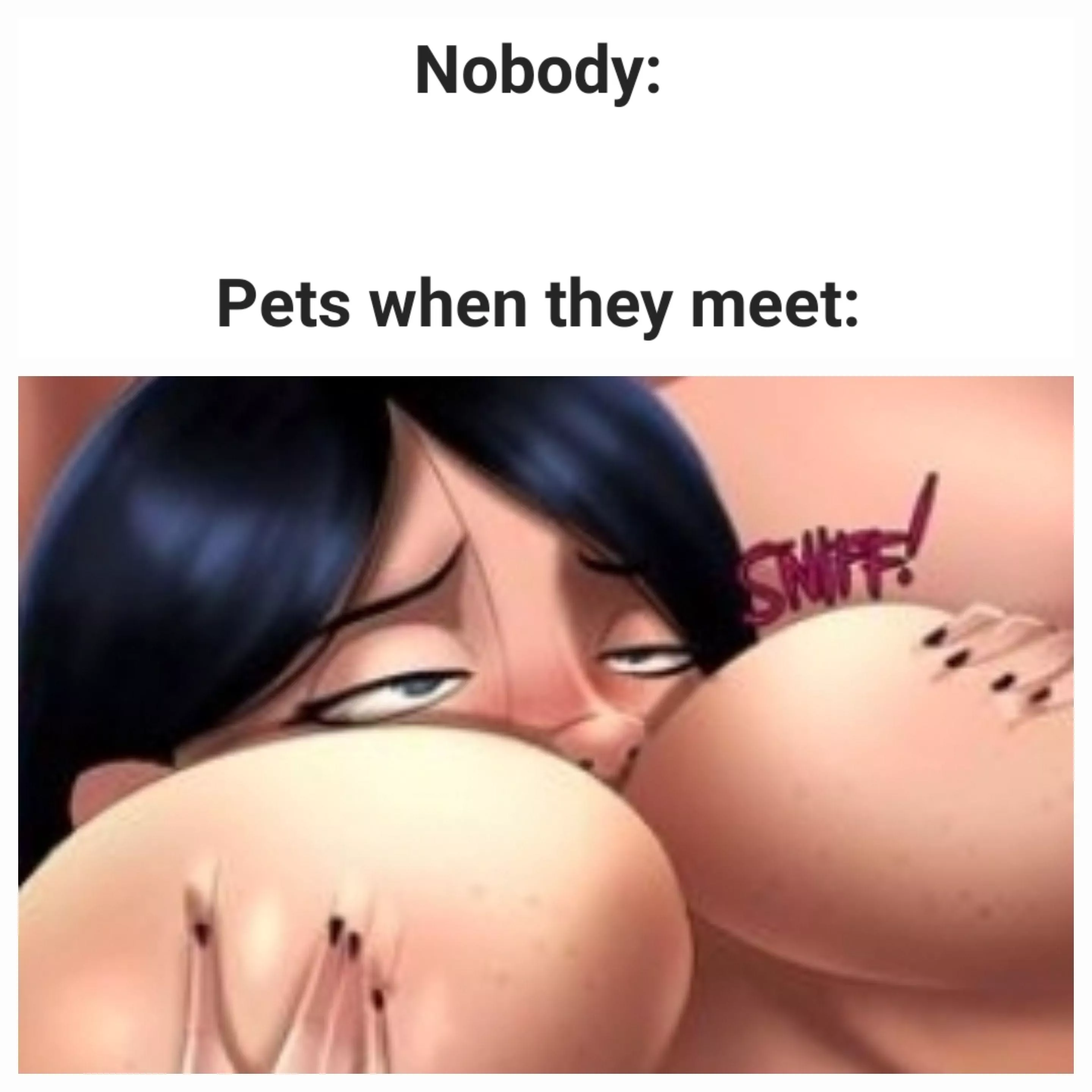 Hello there! posted by JRTheRaven0111