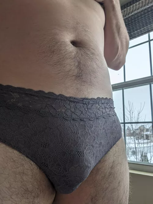 I let the neighbors watch by SnowJon21