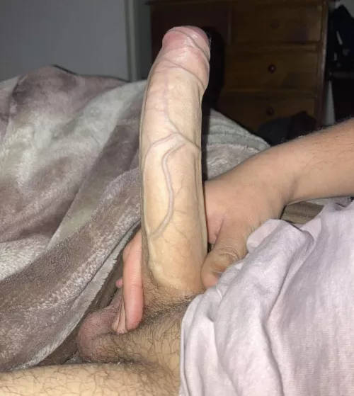 I love stroking this! Would you ride it? by imheretocringe