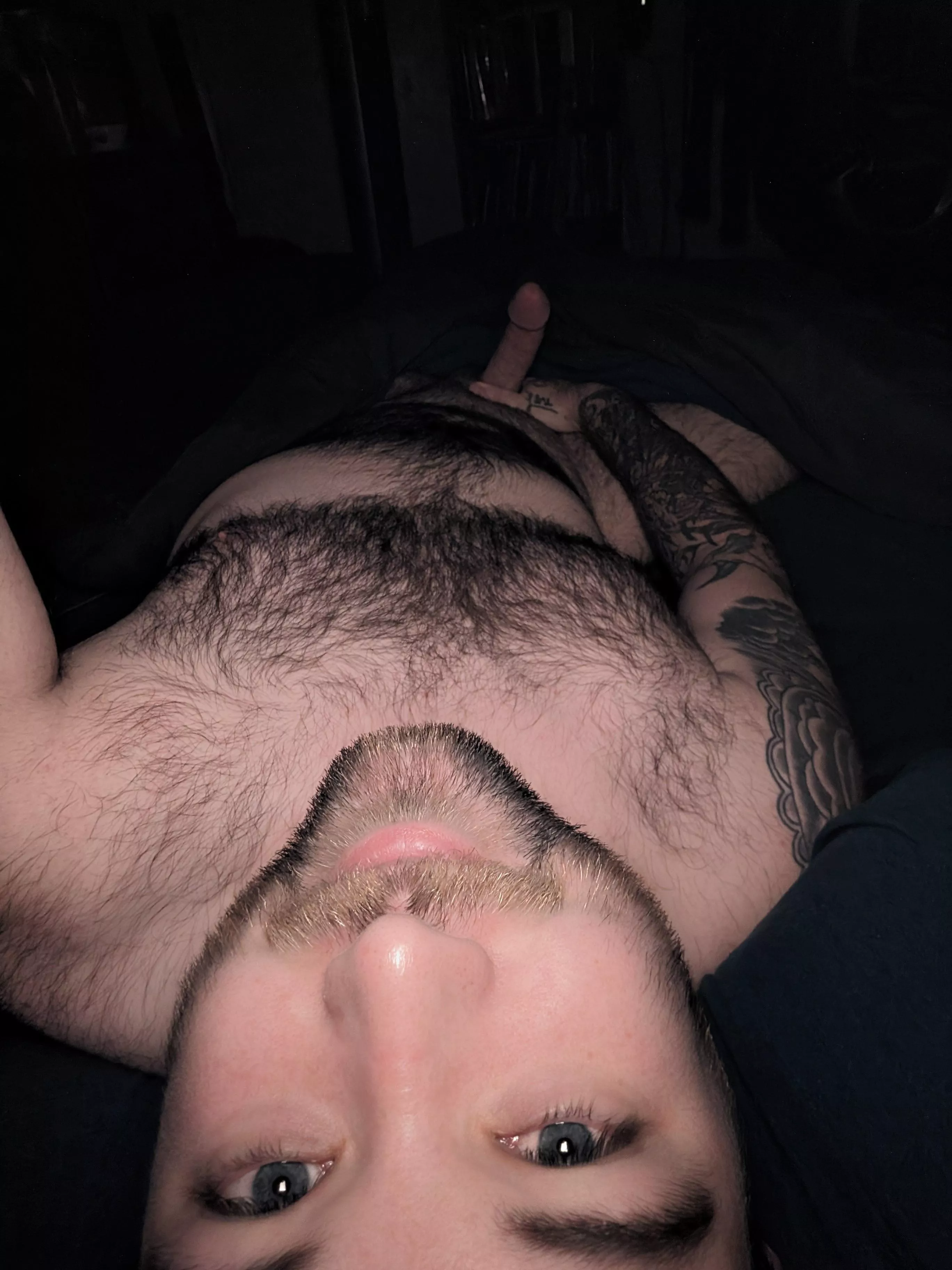 I promise this isn’t how I normally greet people! posted by SourBrapple