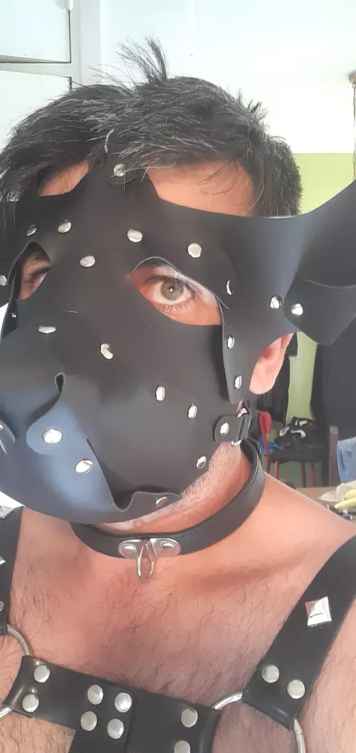 I'm ready waiting for my alpha by Ok-Fee2735