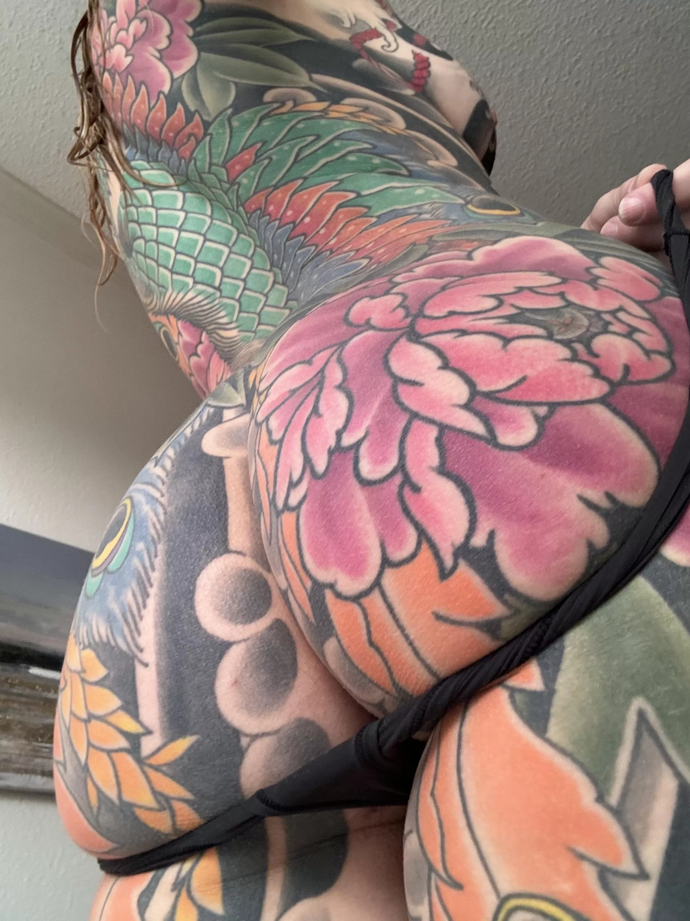 It’s not going to eat itself posted by kuzagirl