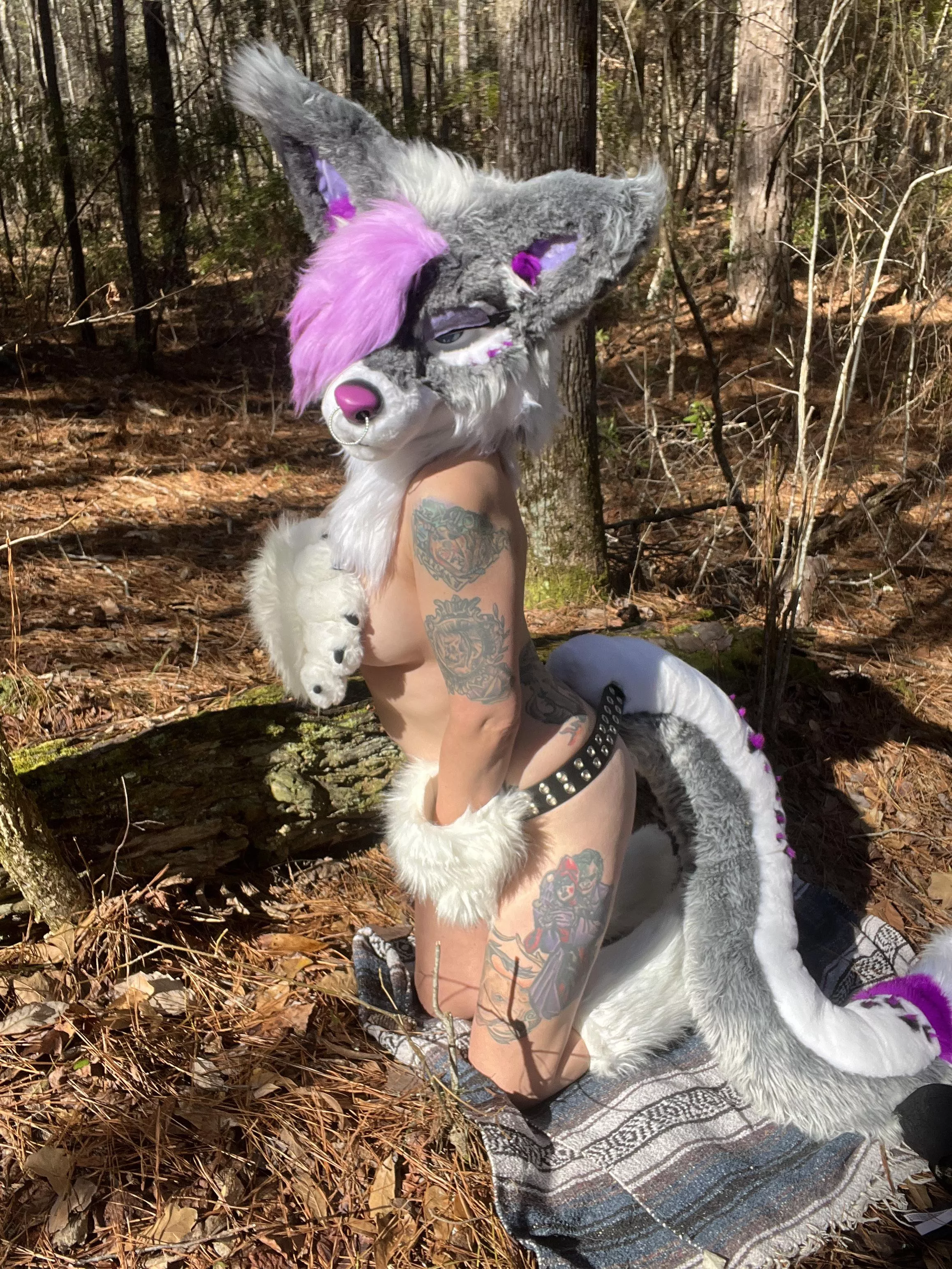 Let’s go play in the woods ✨❄️🌳🏔️✨ posted by Rayne_Rot