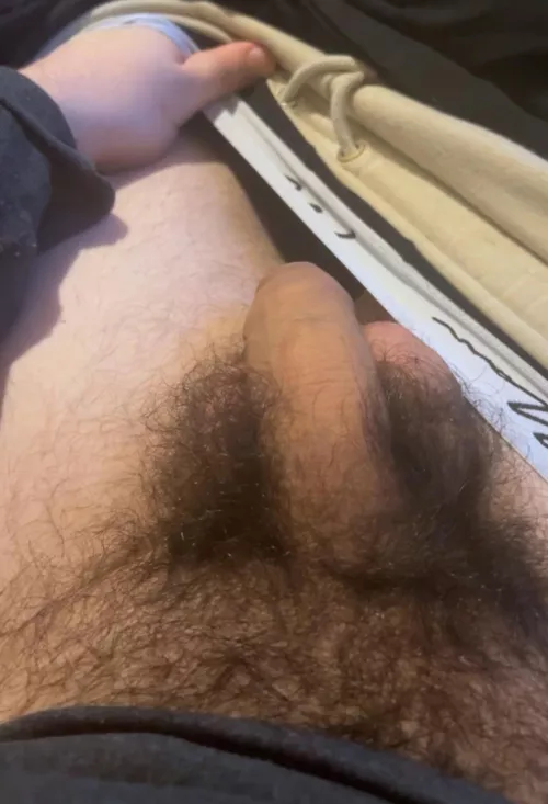 Look how huge my bush is. You like it?😏🍆Dms open😈 by HungYoungAlpha-
