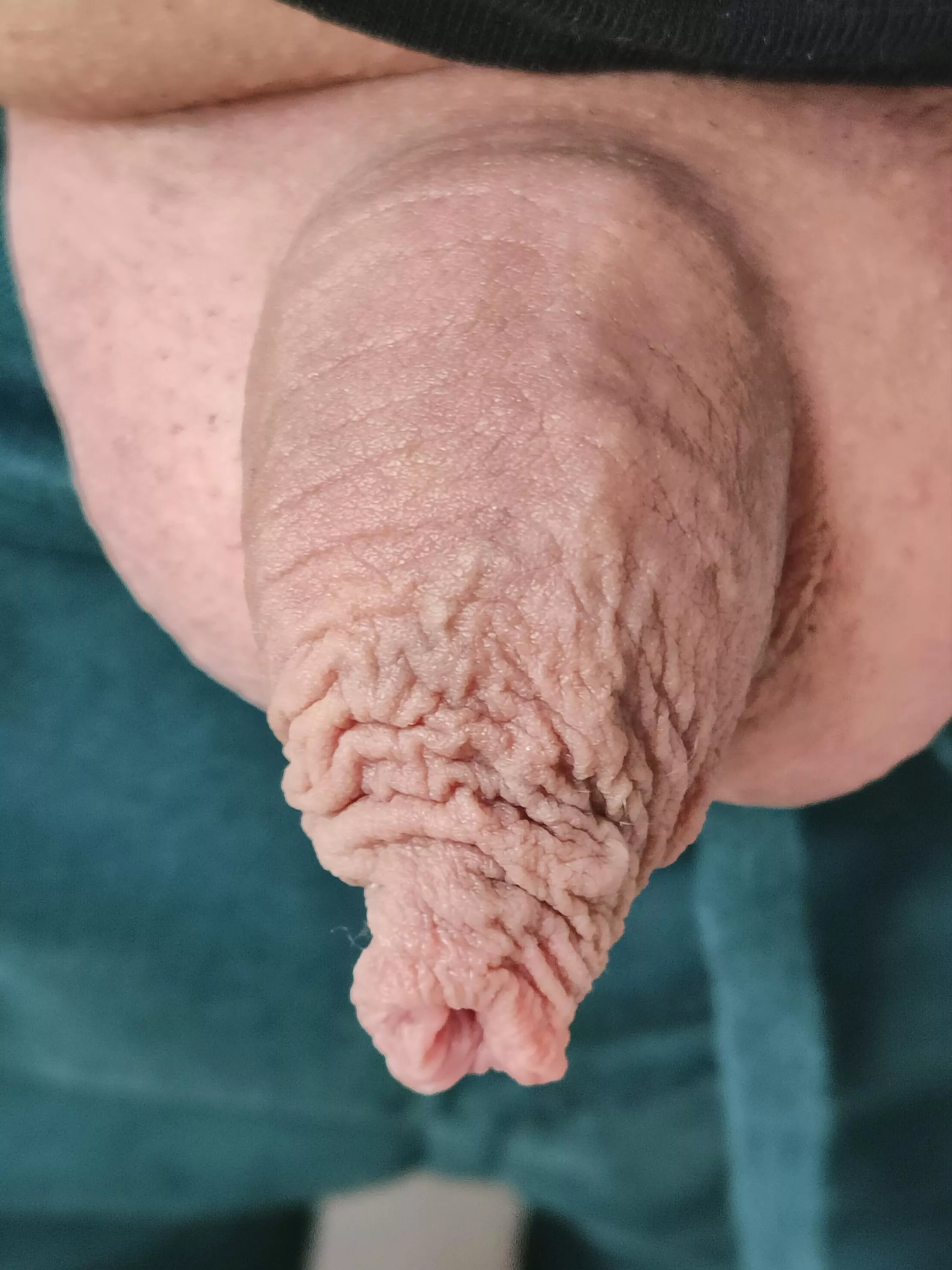 My fs posted by rotocoraroto