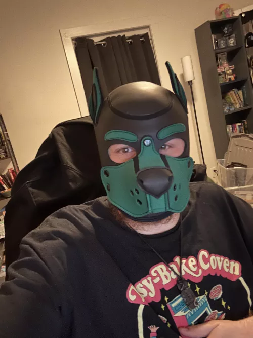 New Pup! by Sollarin