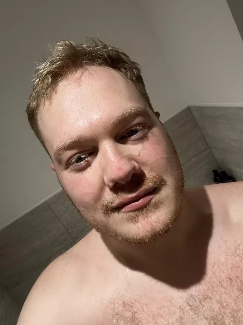 Two satisfied bears by luke-and-dan