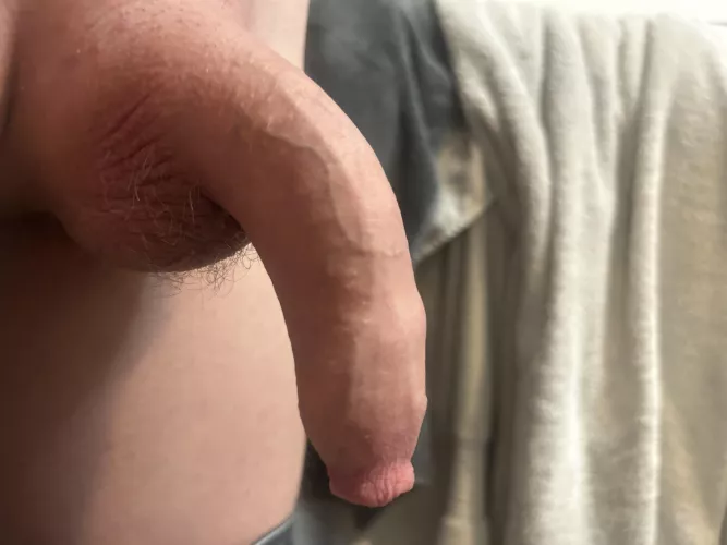 Usually I have my foreskin rolled back at all times but there’s a first time for everything I guess by ZealousidealMuscle15