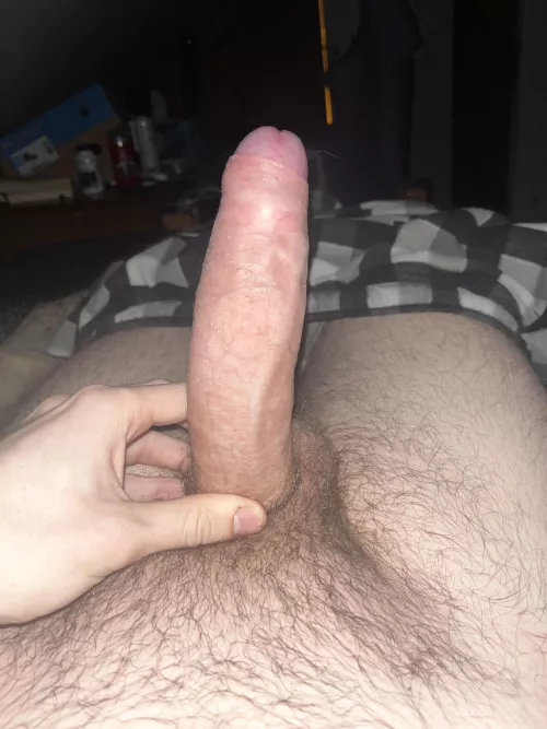 Was hard in bed and wanted to take a pic by UselessAlt6942