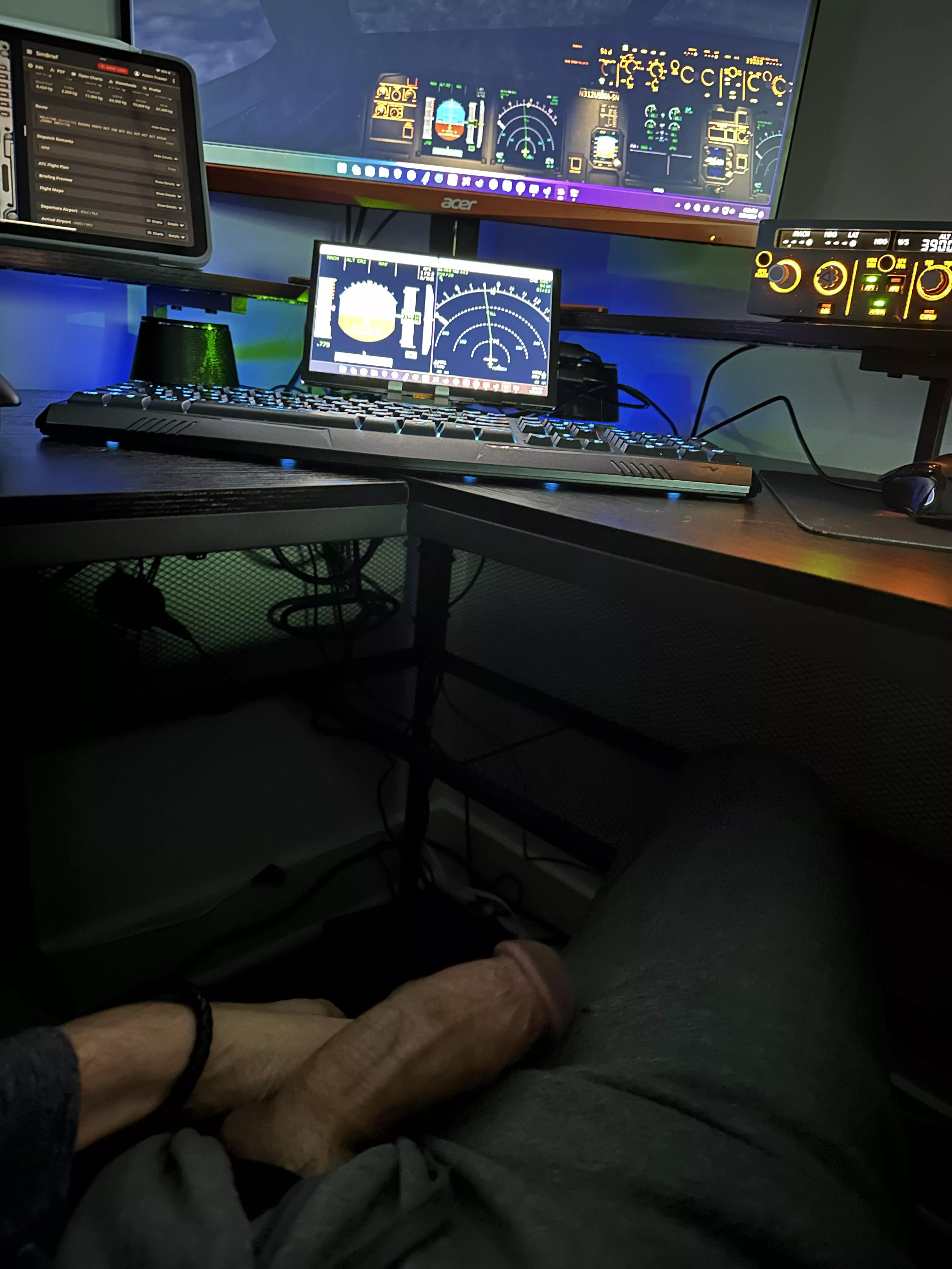 What do real pilots do once you’re at cruise? posted by cashewsisnice