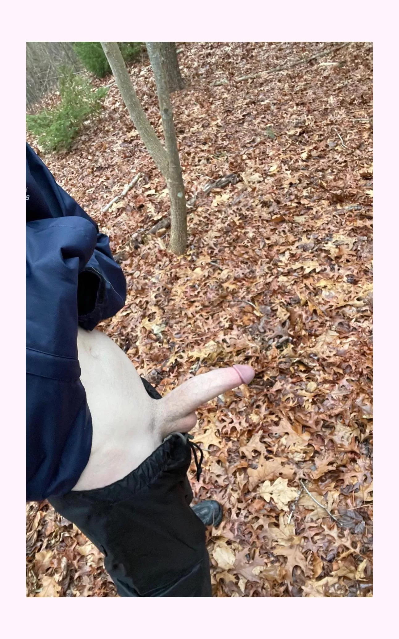 What woulw you do if you were walking in the woods and saw this? posted by Intelligent-Bag-3250