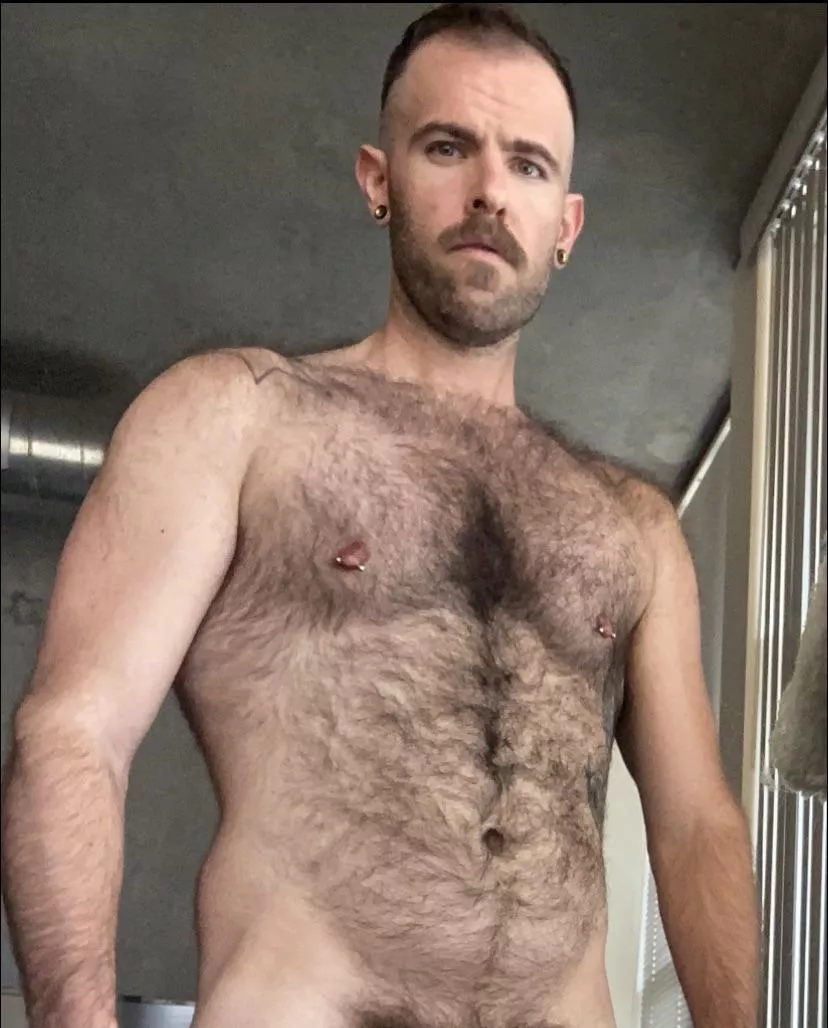 Who likes to rub chest fur? posted by ThkNheavy