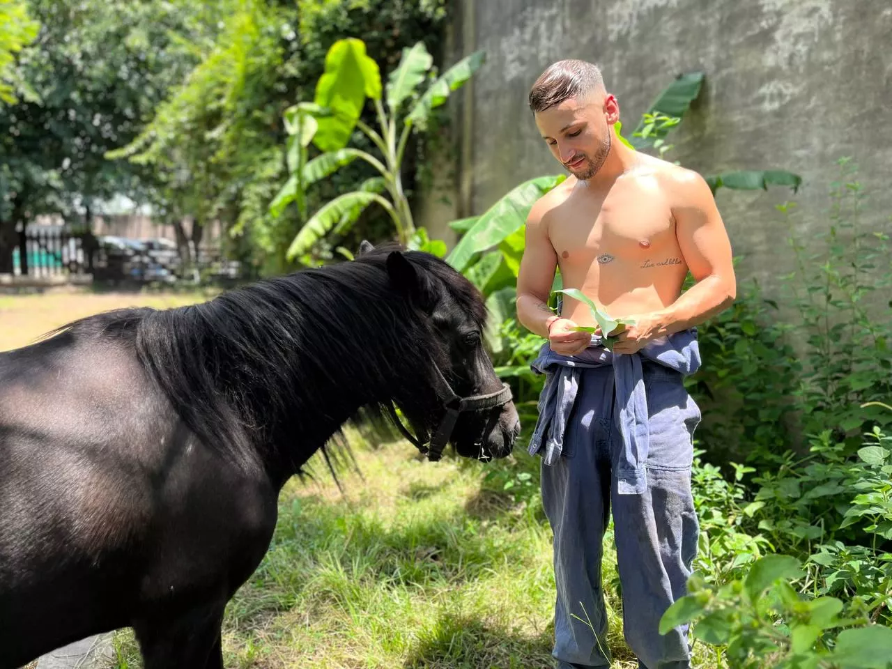 Working posted by ImYourDream_