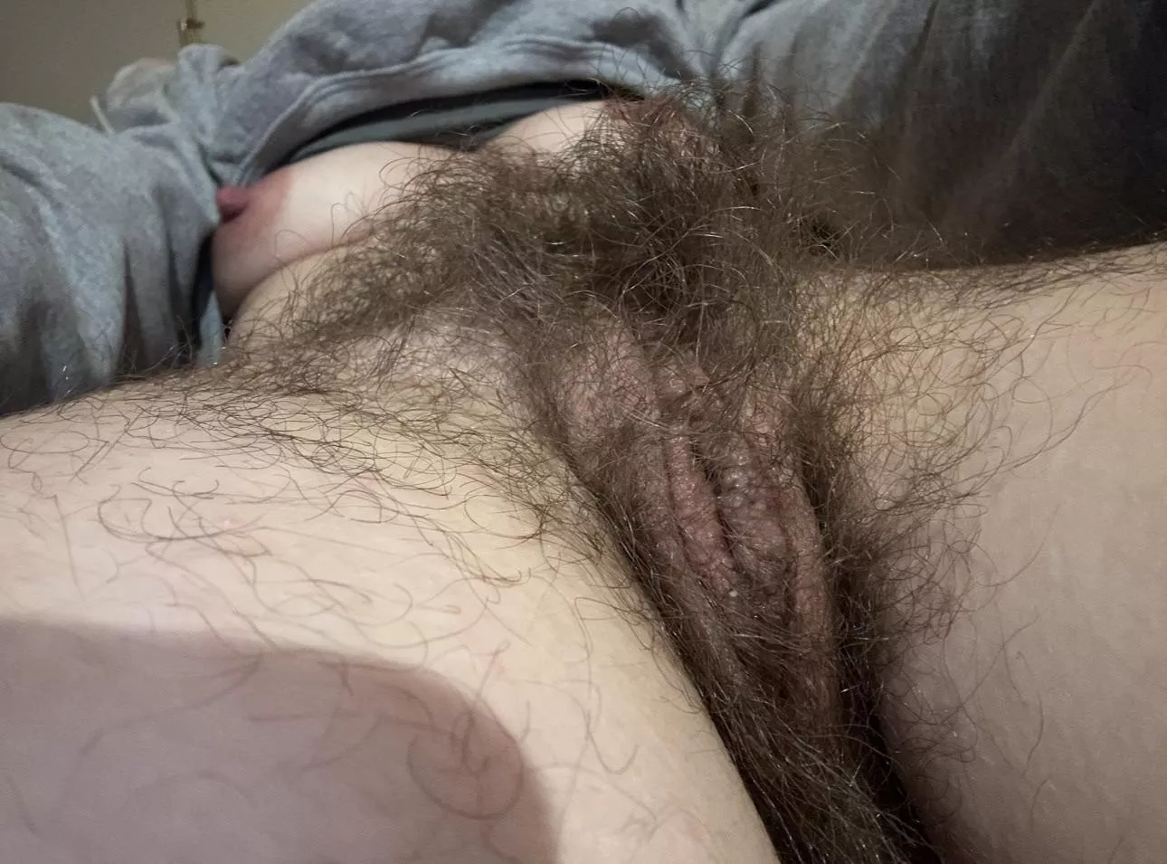 Would you brush my beautiful bush? posted by tinkerbellagrl