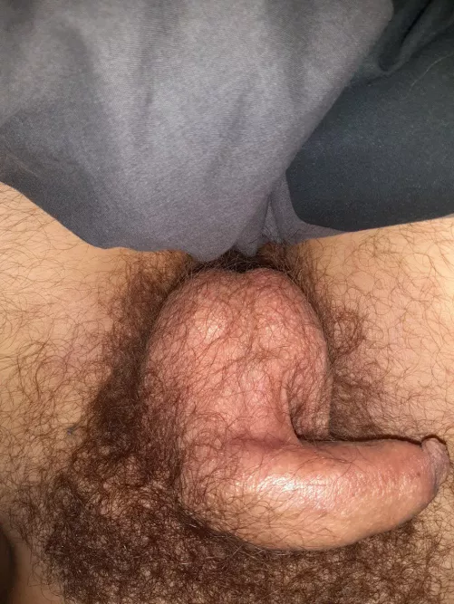 You like it? by Wheresallthecomments