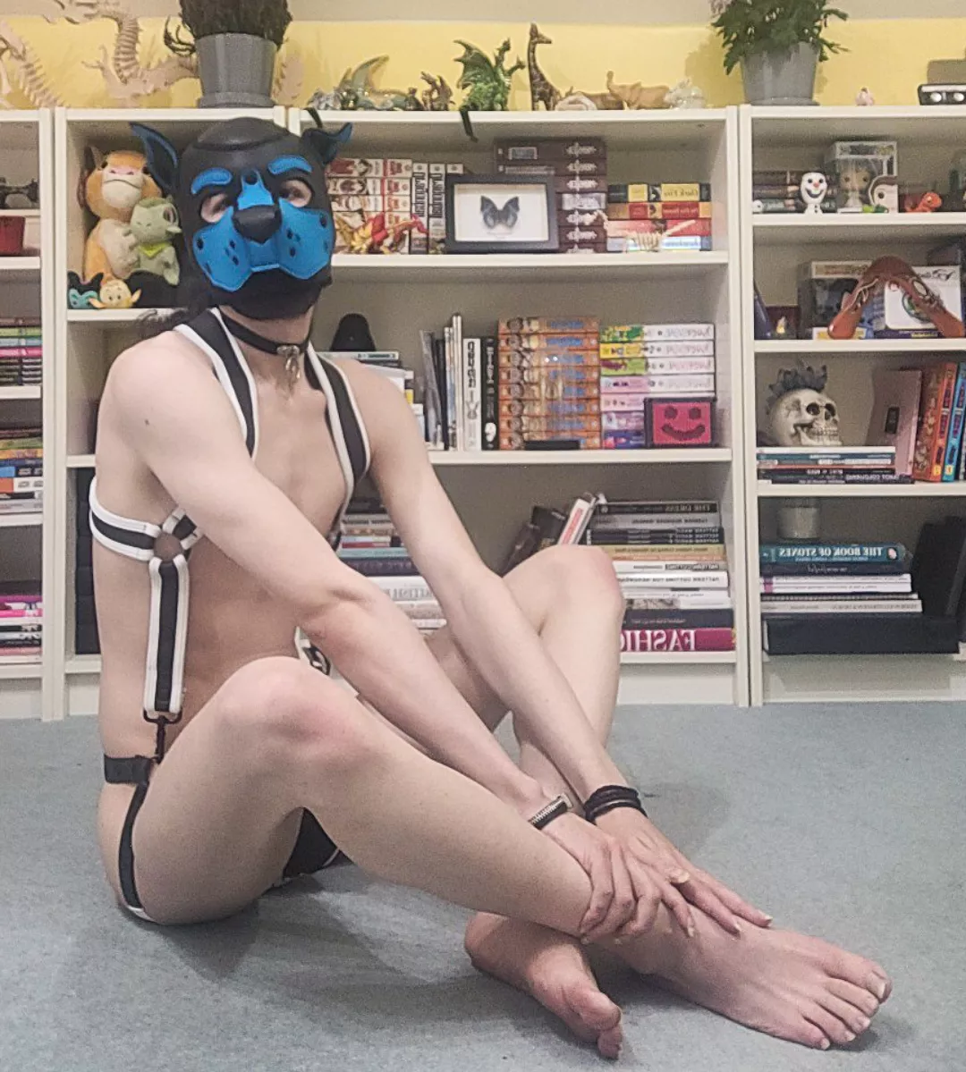 Awoo can't believe the subs finally back up, so excited to see what all the pups post again 🐶🐶 posted by Trying6969