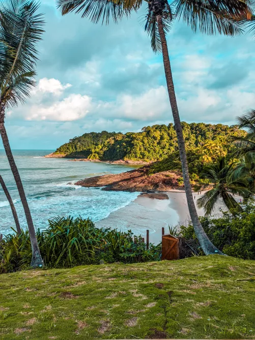 Beach garden by LordWitness