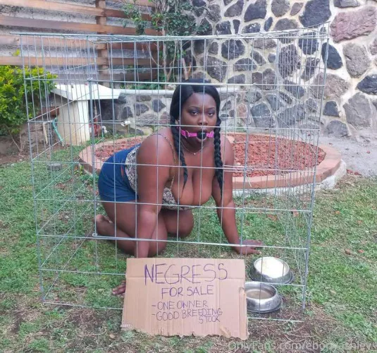 Being sold to the highest bidder. High pain threshold. Trained and broken. Expert ass cleaner and piss drinker. by EbonyAshley1