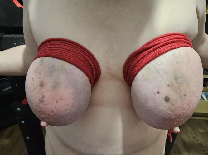 Day 2 of spanking by Obvious_Moose_7552