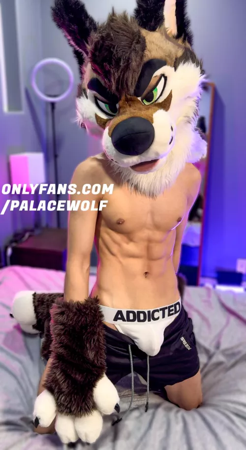 Done stare for too long, you might get addicted 💕 by PalaceWolf