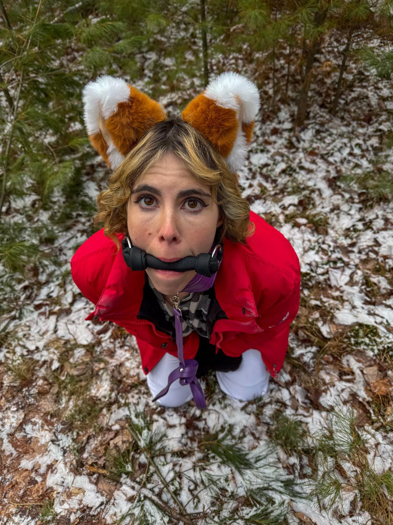 Foxes love bones you know posted by Tinkertoys69