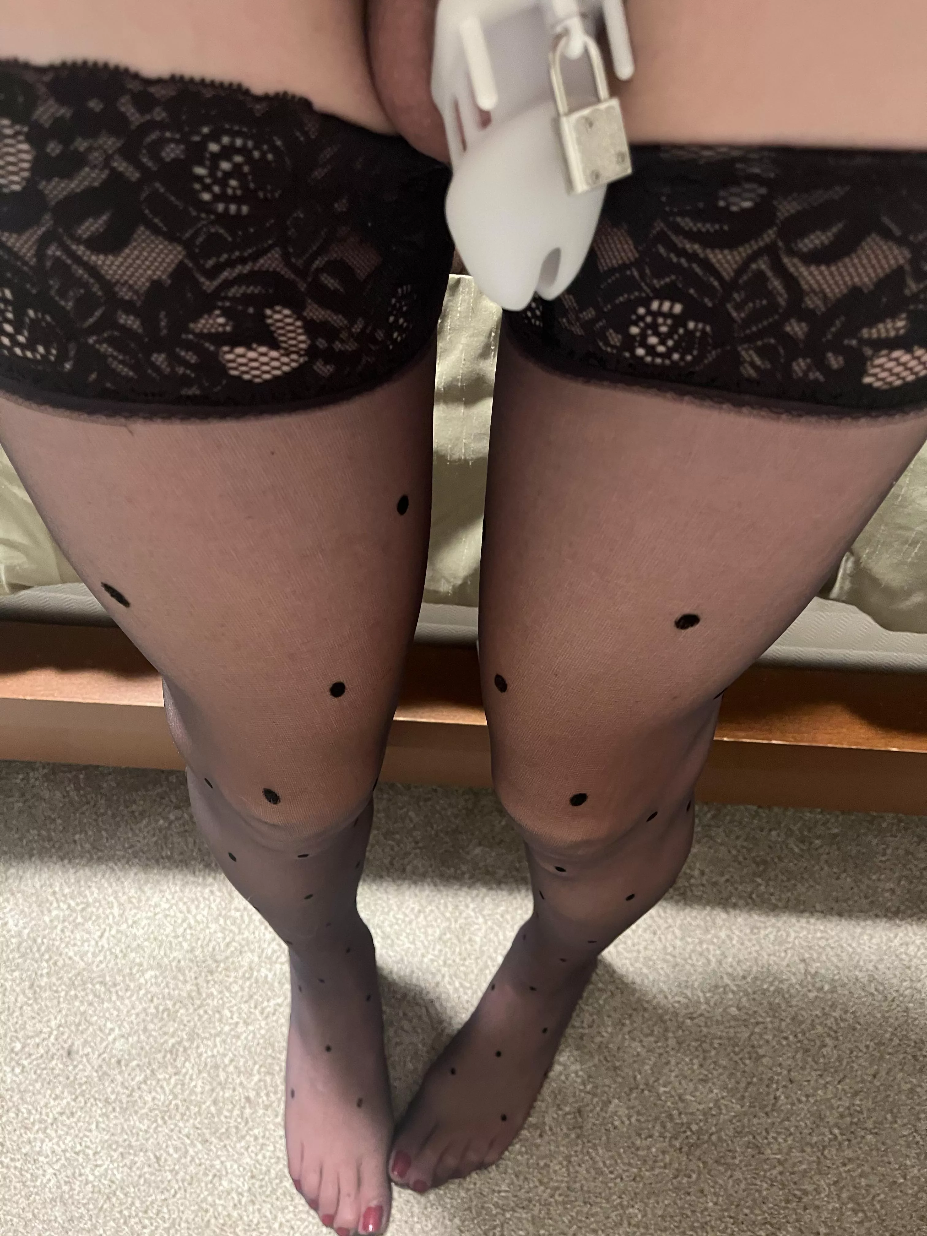 I think I need a smaller cage and it needs to be permanent. posted by Dangerous_Effect9485