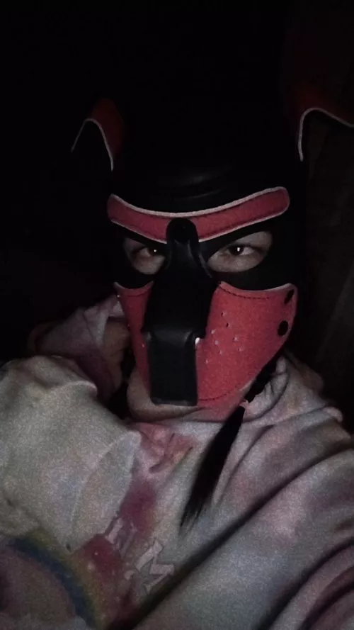 Just a silly lil pup 💗 by DaddysKoshka