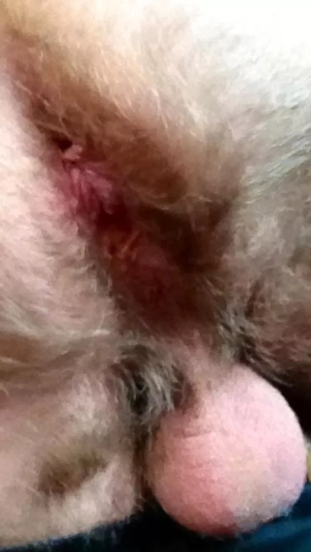 Musky posted by Classiccock