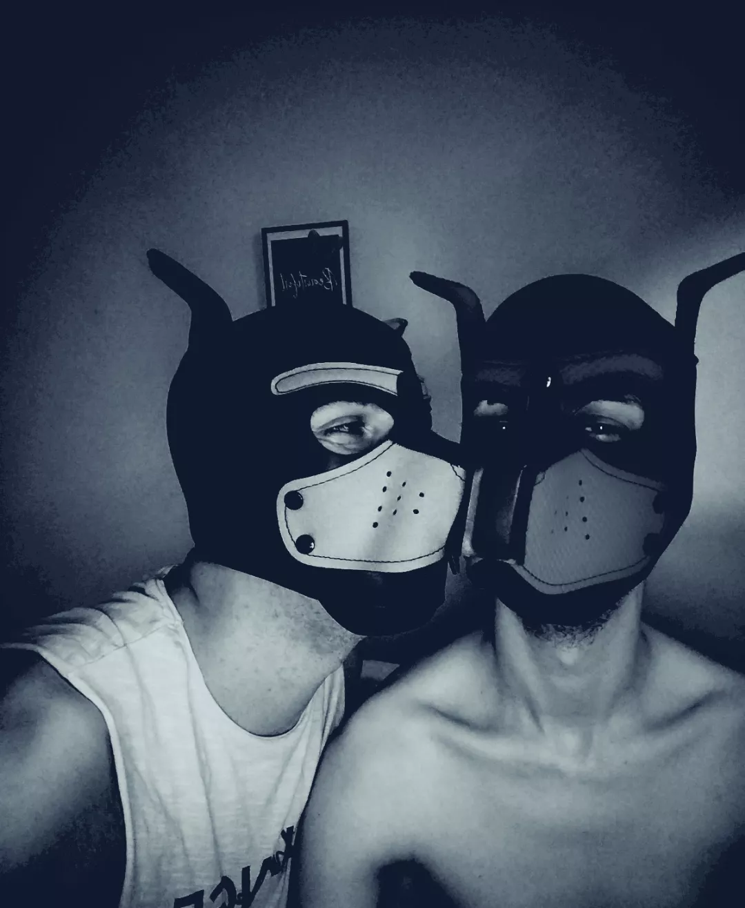 My boy 👉👈 💫❤️🐕 posted by Loose_Opposite_5975